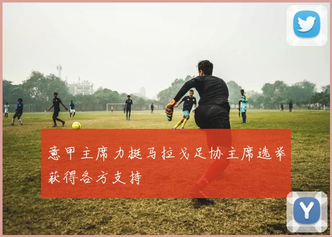 意甲主席力挺马拉戈足协主席选举获得各方支持
